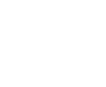 Demetrius Nicholas logo